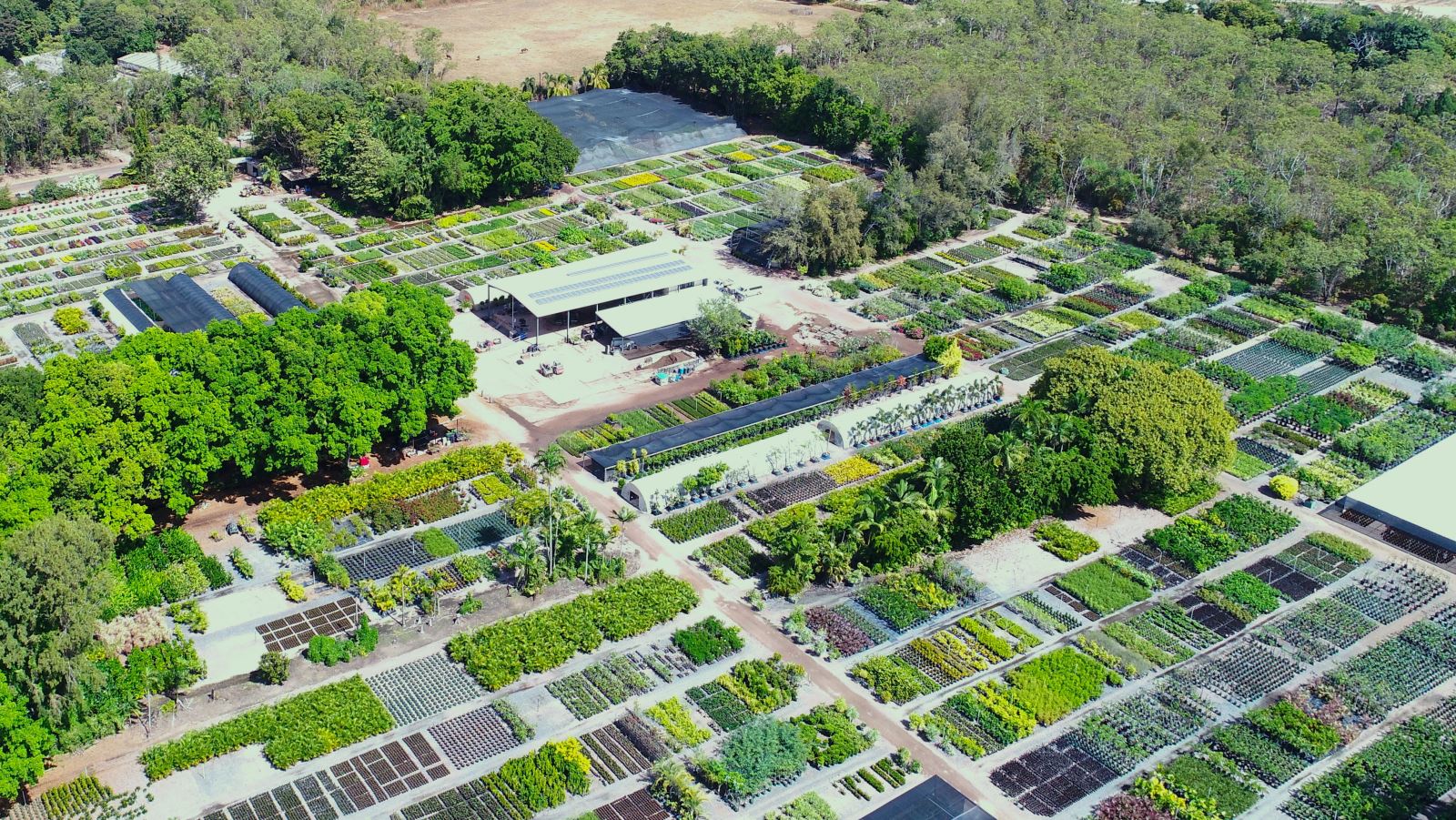 At Darwin Plant Wholesalers, we specialise in